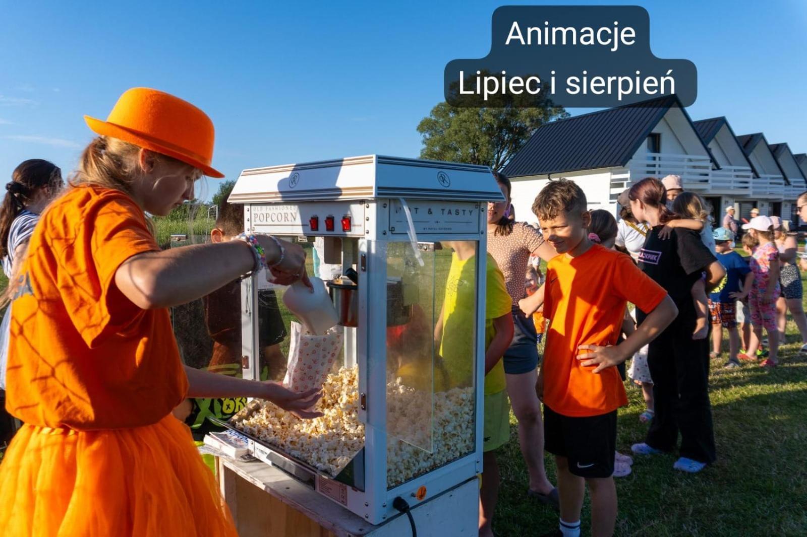 Arkadia Holiday - Domki Letniskowe Władysławowo Dış mekan fotoğraf